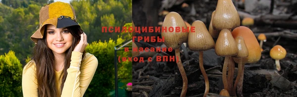 spice Балахна