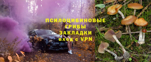 ПСИЛОЦИБИНОВЫЕ ГРИБЫ Балабаново