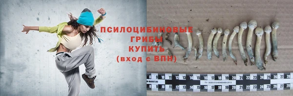каннабис Протвино
