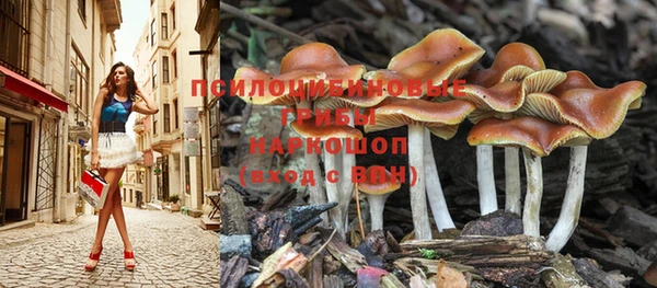 не бодяженный Приозерск