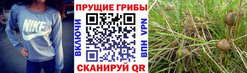 Галлюциногенные грибы MAGIC MUSHROOMS  Сибай 